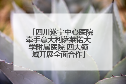 四川遂宁中心医院牵手意大利萨莱诺大学附属医院 四大领域开展全面合作