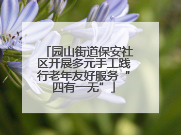 园山街道保安社区开展多元手工践行老年友好服务“四有一无”