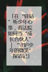 在“驿站”听少年心事，看法院如何当“成长合伙人”｜“守护少年的微笑” 探访记