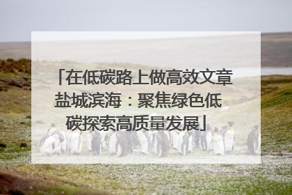 在低碳路上做高效文章 盐城滨海：聚焦绿色低碳探索高质量发展