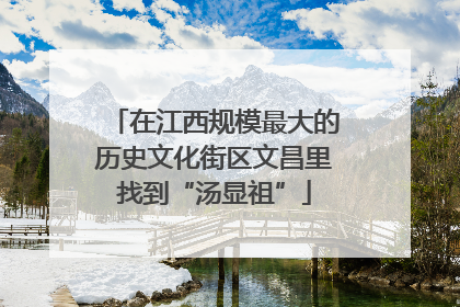 在江西规模最大的历史文化街区文昌里找到“汤显祖”