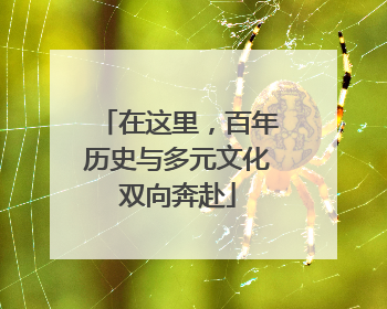 在这里，百年历史与多元文化双向奔赴