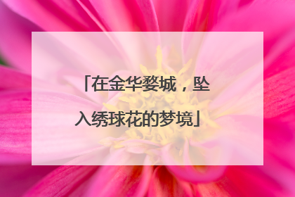 在金华婺城，坠入绣球花的梦境