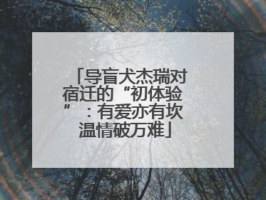 导盲犬杰瑞对宿迁的“初体验”：有爱亦有坎 温情破万难
