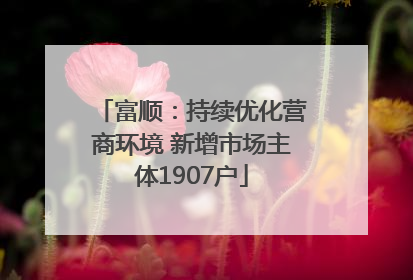 富顺：持续优化营商环境 新增市场主体1907户