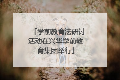 学前教育法研讨活动在兴华学前教育集团举行