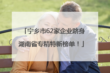 宁乡市62家企业跻身湖南省专精特新榜单！