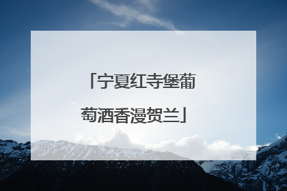 宁夏红寺堡葡萄酒香漫贺兰