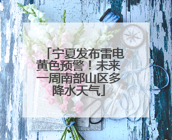 宁夏发布雷电黄色预警！未来一周南部山区多降水天气