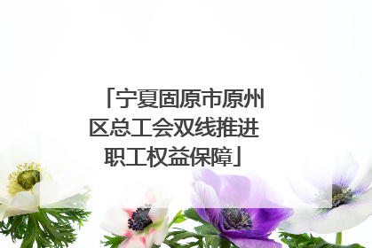 宁夏固原市原州区总工会双线推进职工权益保障
