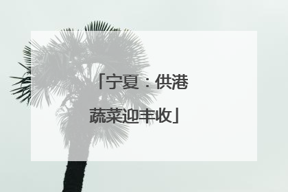 宁夏：供港蔬菜迎丰收