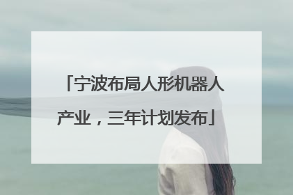 宁波布局人形机器人产业，三年计划发布