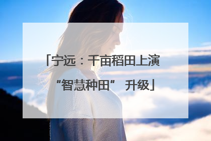 宁远：千亩稻田上演 “智慧种田” 升级