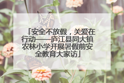 安全不放假，关爱在行动——庐江县同大镇农林小学开展暑假前安全教育大家访