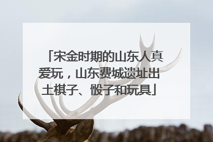 宋金时期的山东人真爱玩，山东费城遗址出土棋子、骰子和玩具