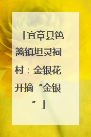 宜章县笆篱镇坦灵祠村：金银花开摘“金银”