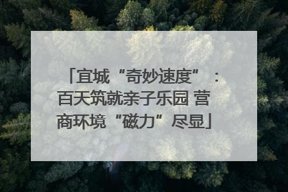 宜城“奇妙速度”：百天筑就亲子乐园 营商环境“磁力”尽显