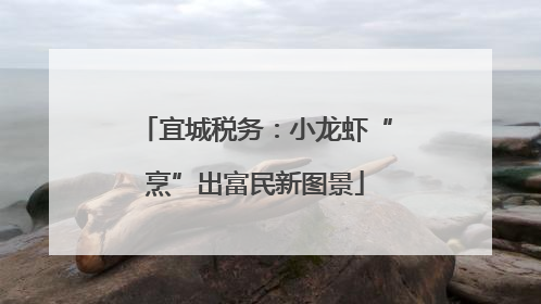 宜城税务：小龙虾“烹”出富民新图景