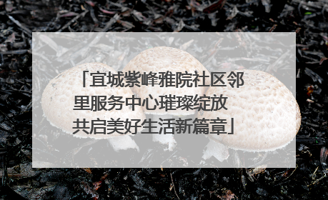 宜城紫峰雅院社区邻里服务中心璀璨绽放 共启美好生活新篇章