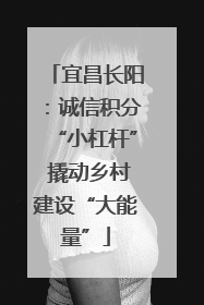 宜昌长阳：诚信积分“小杠杆” 撬动乡村建设“大能量”