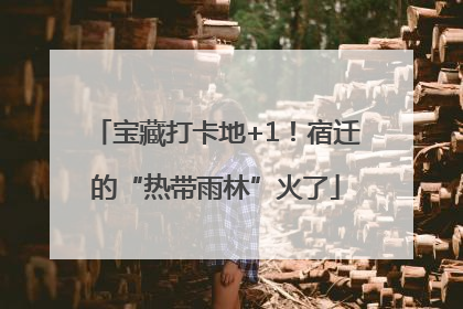 宝藏打卡地+1！宿迁的“热带雨林”火了