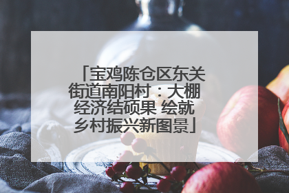 宝鸡陈仓区东关街道南阳村：大棚经济结硕果 绘就乡村振兴新图景