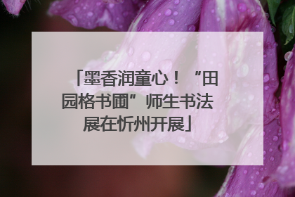 墨香润童心！“田园格书圃”师生书法展在忻州开展