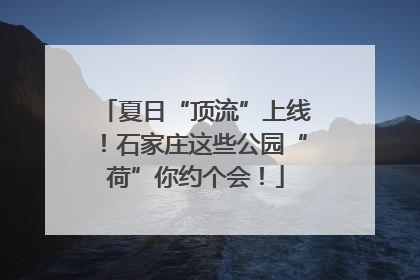 夏日“顶流”上线！石家庄这些公园“荷”你约个会！