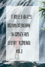 夏日秦巴腹地美如画 朱鹮在稻田里飞舞嬉戏