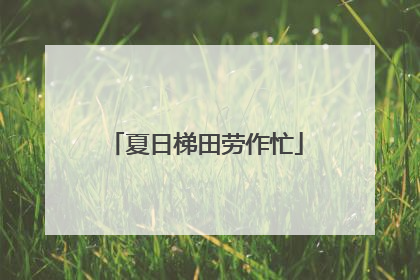 夏日梯田劳作忙