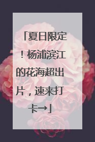 夏日限定！杨浦滨江的花海超出片，速来打卡→