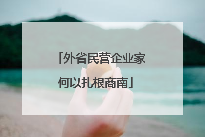 外省民营企业家何以扎根商南
