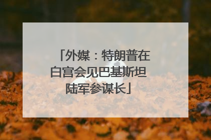 外媒：特朗普在白宫会见巴基斯坦陆军参谋长