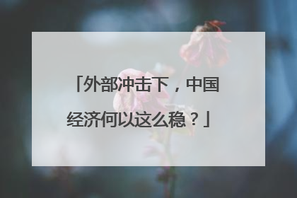 外部冲击下，中国经济何以这么稳？
