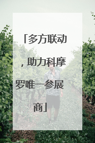 多方联动，助力科摩罗唯一参展商