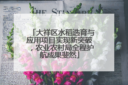 大祥区水稻选育与应用项目实现新突破，农业农村局全程护航成果斐然