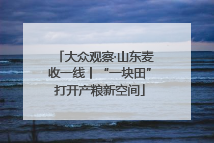 大众观察·山东麦收一线丨“一块田”打开产粮新空间