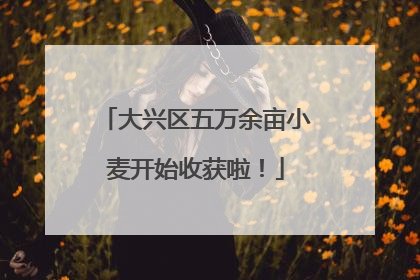 大兴区五万余亩小麦开始收获啦！