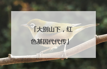 大别山下，红色基因代代传