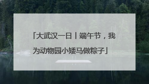 大武汉一日丨端午节，我为动物园小矮马做粽子