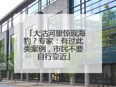 大沽河里惊现海豹？专家：有过此类案例，市民不要自行靠近