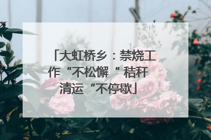大虹桥乡：禁烧工作“不松懈“ 秸秆清运“不停歇