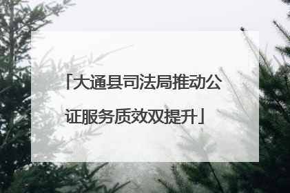 大通县司法局推动公证服务质效双提升