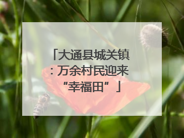 大通县城关镇：万余村民迎来“幸福田”