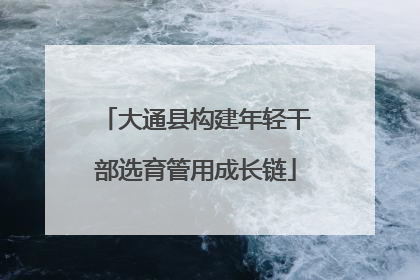 大通县构建年轻干部选育管用成长链