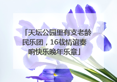 天坛公园里有支老龄民乐团，16载情谊奏响快乐晚年乐章
