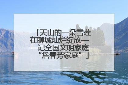 天山的一朵雪莲在聊城灿烂绽放——记全国文明家庭“詹春芳家庭”