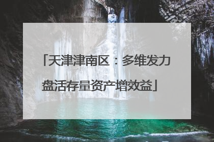 天津津南区：多维发力盘活存量资产增效益