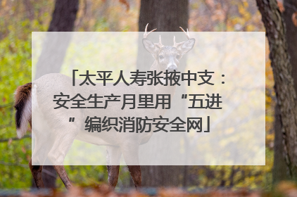 太平人寿张掖中支：安全生产月里用“五进”编织消防安全网