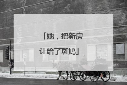 她，把新房让给了斑鸠